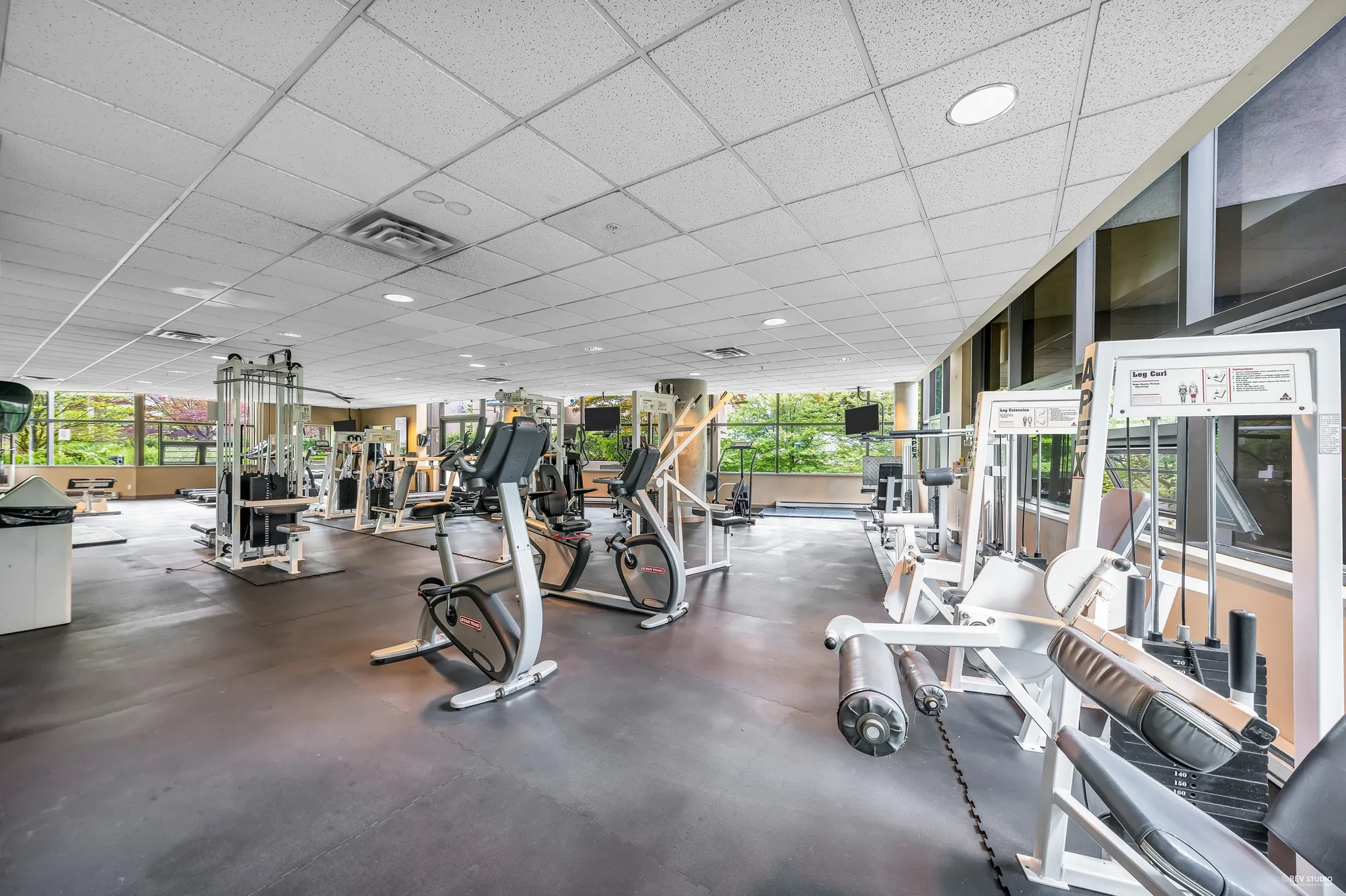The exercise room: weight machines and cardio equipment, a rubber floor, windows onto the trees